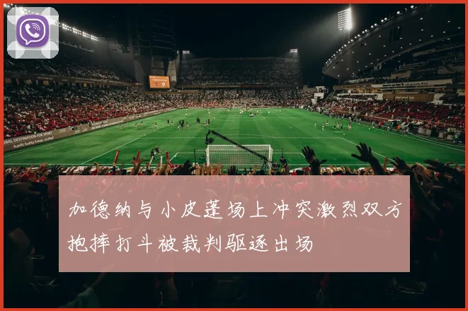 加德纳与小皮蓬场上冲突激烈双方抱摔打斗被裁判驱逐出场